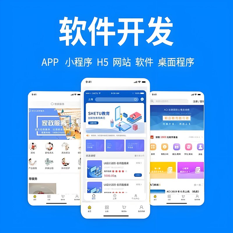 软件行业的崛起:广州起月助力企业乘风破浪