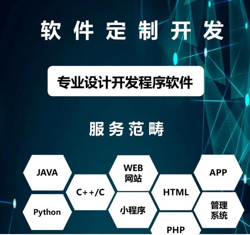 软件行业的创新与变革：以广州起月公司为例